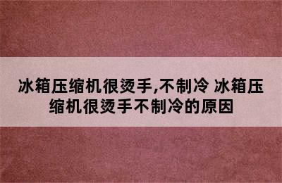 冰箱压缩机很烫手,不制冷 冰箱压缩机很烫手不制冷的原因